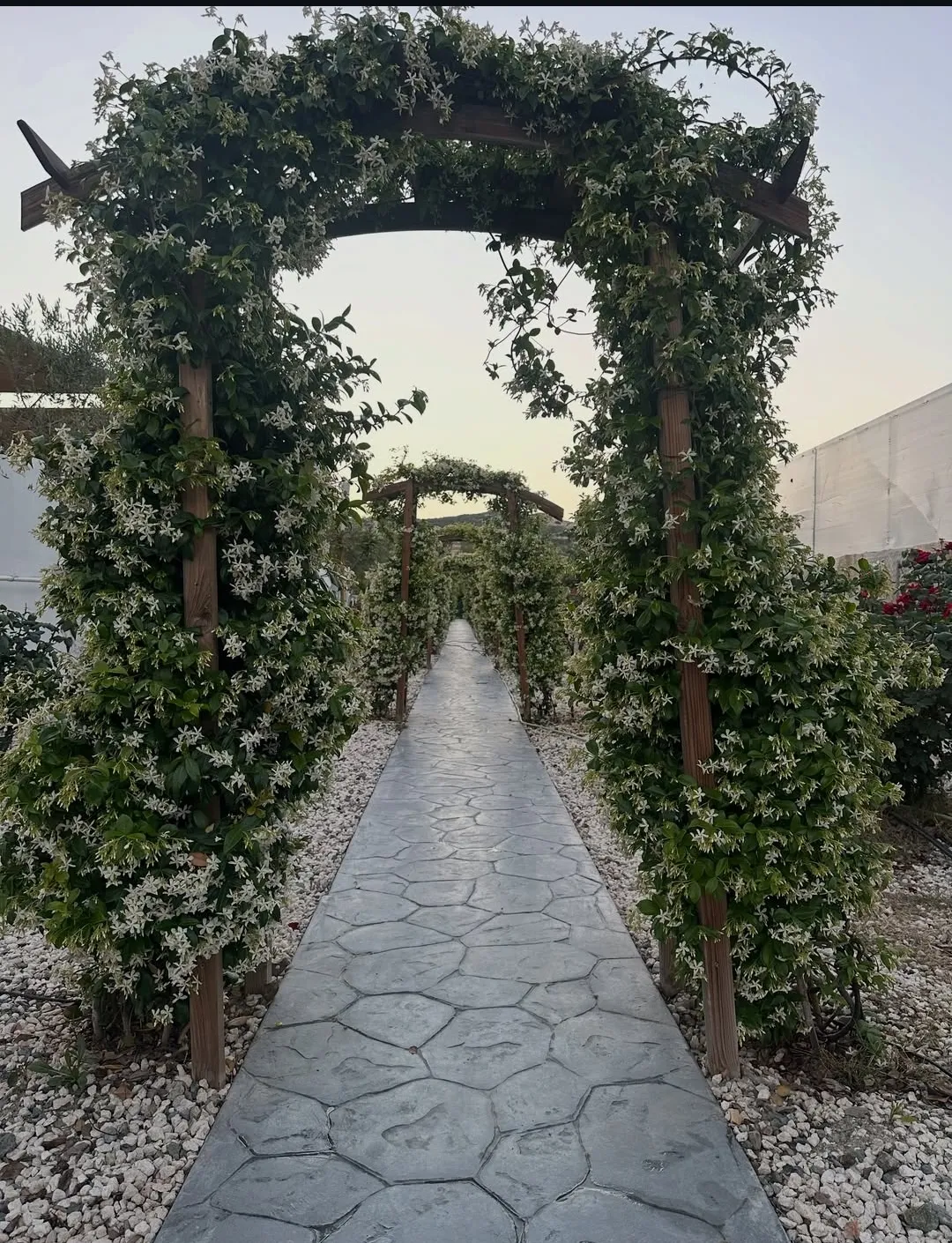 photos 11