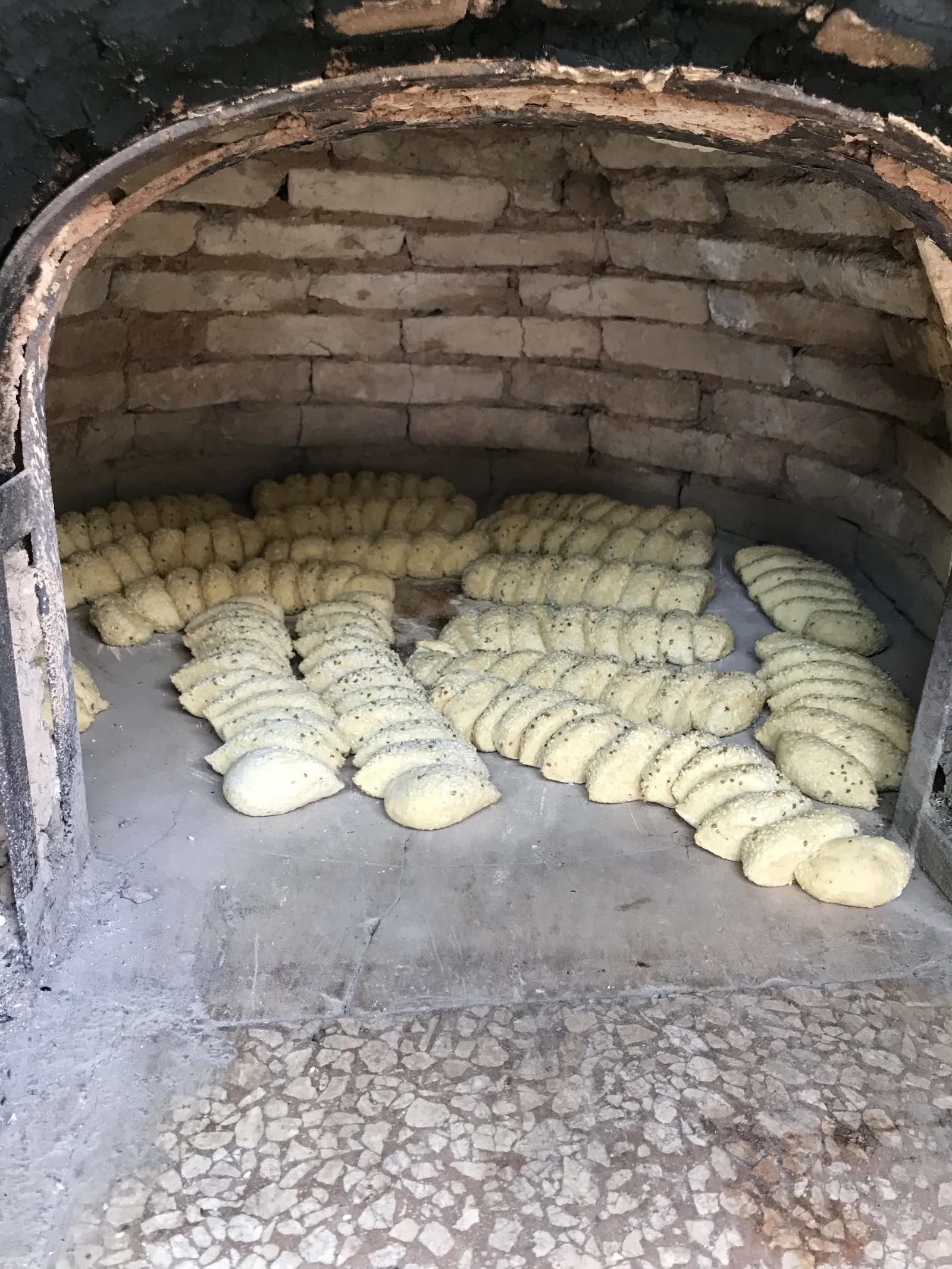 photos 11